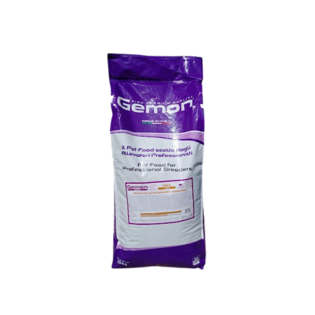 Gemon Cat Kitten - 20kg