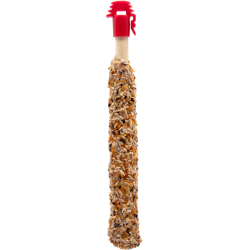 STICKS CANARIES WITH MIXED FRUIT & DANDELION
