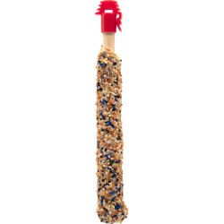 STICKS SMALL PARAKEETS WITH MIXED FRUIT & FLOWERS