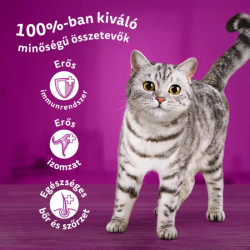 WHISKAS® ALUTASAKOS ELEDEL SZÁRNYAS VÁLOGATÁS ASZPIKBAN 4X100g