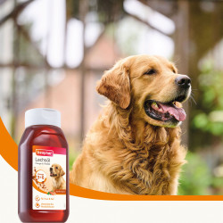 LAZACOLAJ – 430ml