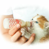 LACTOL KITTY TEJPOR – 250g