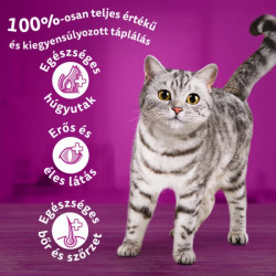 Whiskas száraz macskaeledel csirkével - 14kg