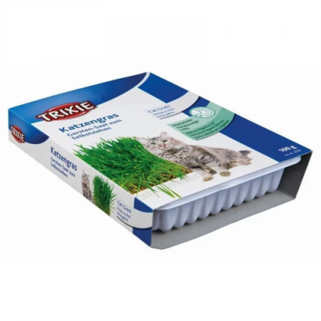 TRIXIE CATGRASS BOX - DOBOZOS MACSKAFŰ -100G