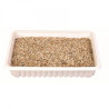 TRIXIE CATGRASS BOX - DOBOZOS MACSKAFŰ -100G