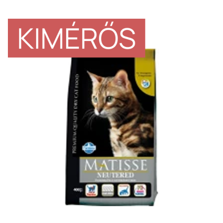 MATISSE NEUTERED - KIMÉRŐS